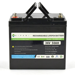 Batería de litio Lifepo4 de ciclo profundo 12v 24v 36v 48v 50ah 100ah 200ah para barco, marino, motor de arrastre, camping, etc.