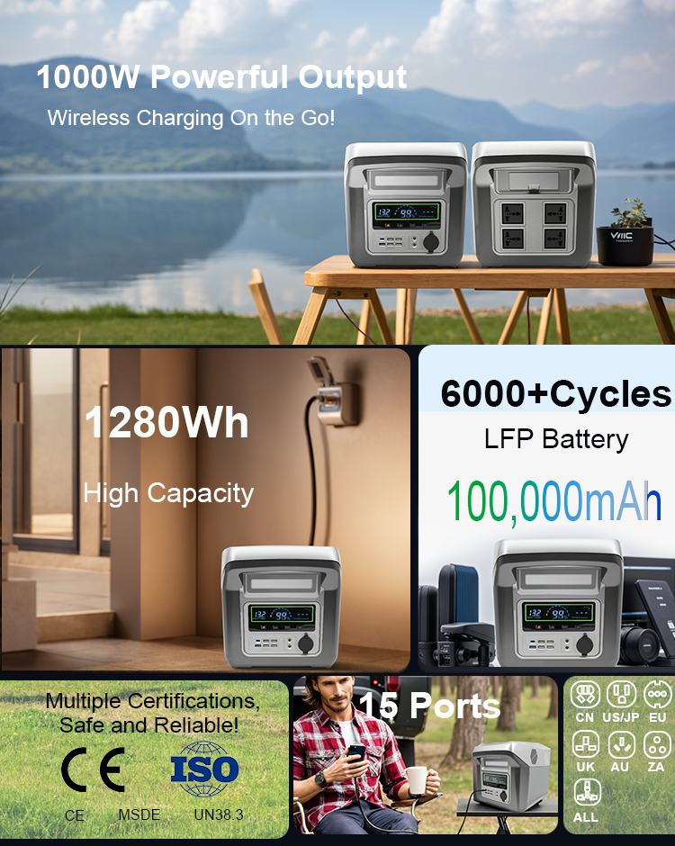 Potencia port&aacute;til de 1000W