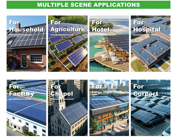 DM_20250703101425_010 